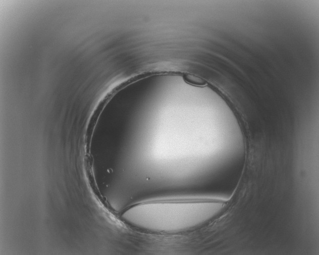 X0000077370992200610271915