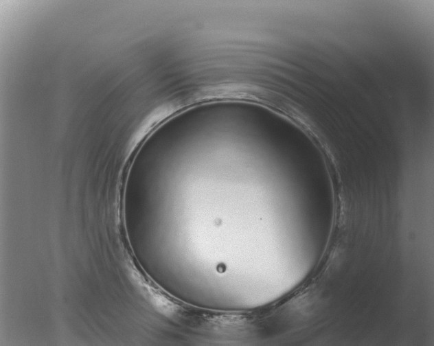 X0000077370994200610271915