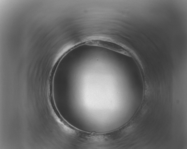 X0000077370999200610271915