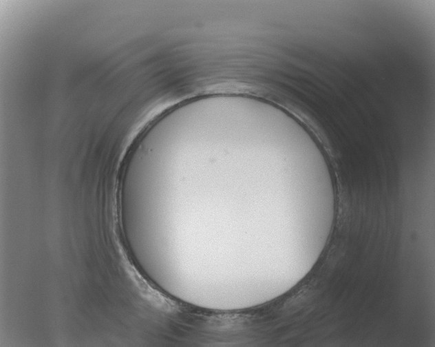 X0000077371000200610271915