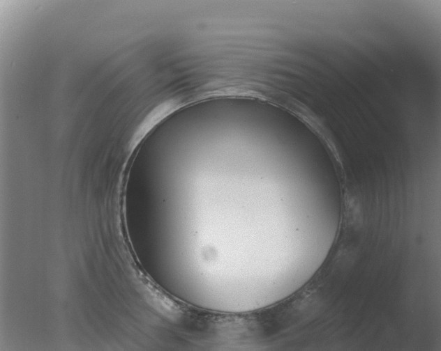 X0000077371002200610271915