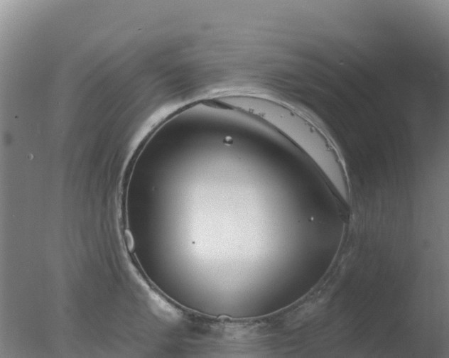 X0000077371005200610271915