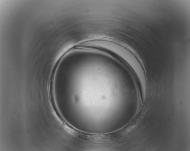 X0000077371007200610271915