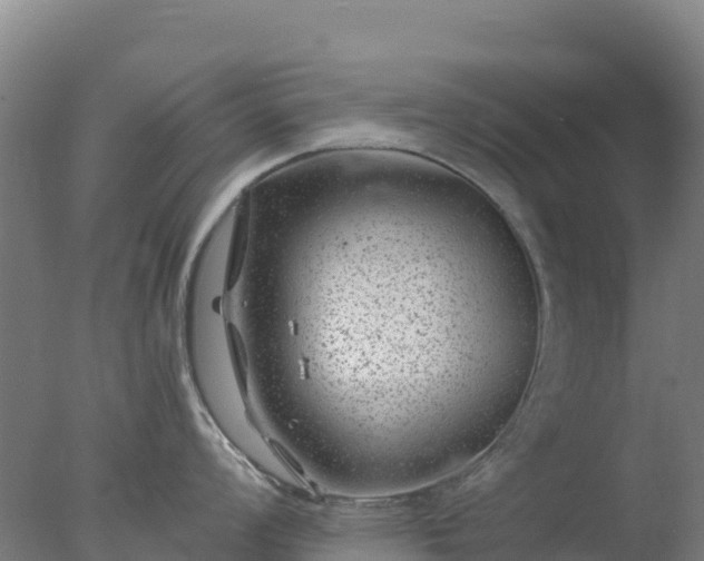 X0000077371008200610271915