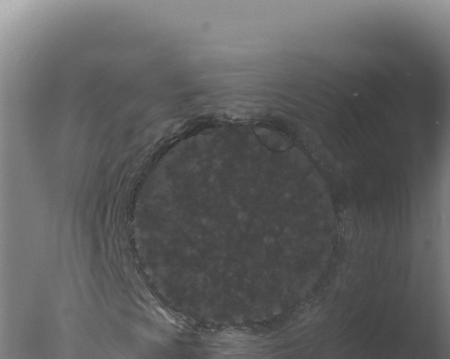 X0000077371009200610271914