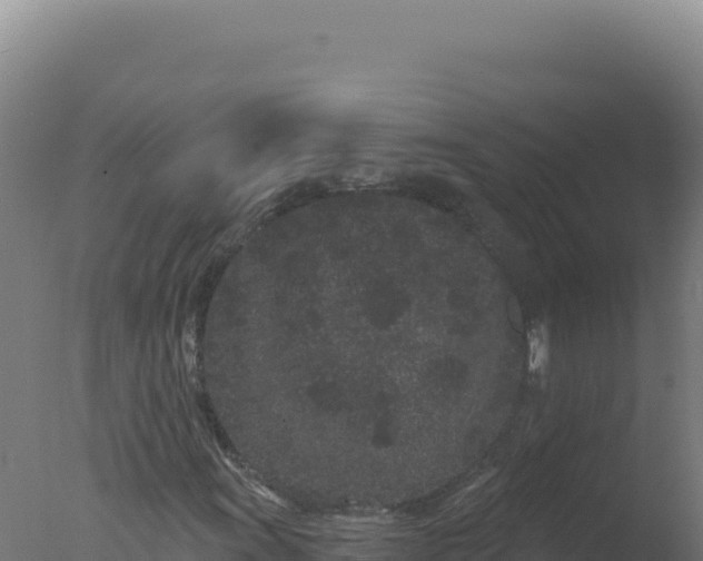 X0000077371011200610271914