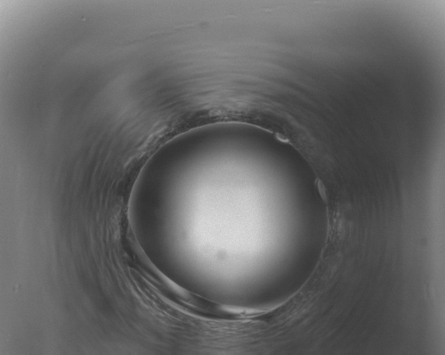 X0000077371012200610271914