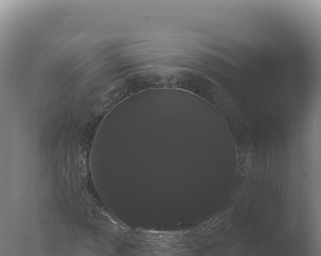 X0000077371013200610271914