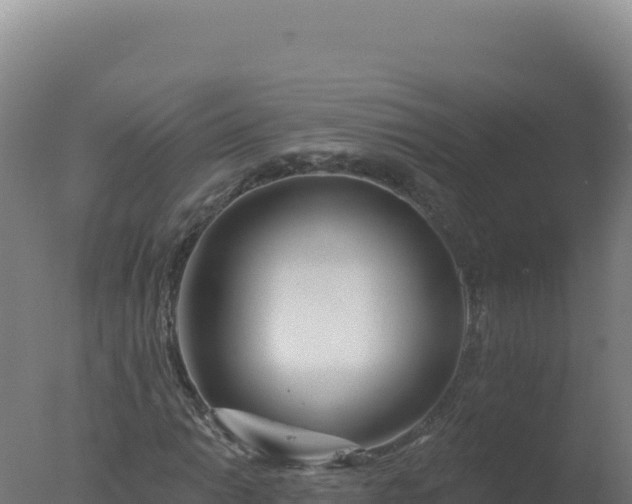 X0000077371014200610271914