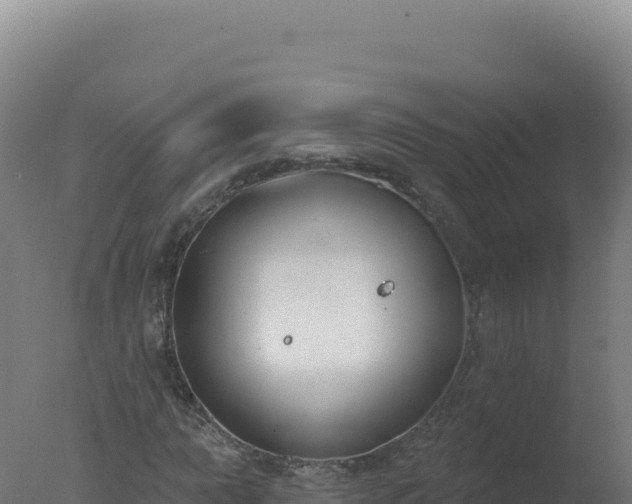 X0000077371015200610271914