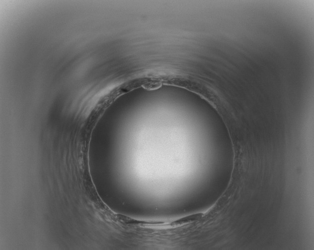 X0000077371016200610271914