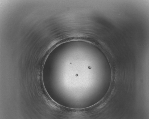 X0000077371017200610271914