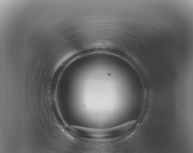 X0000077371018200610271914