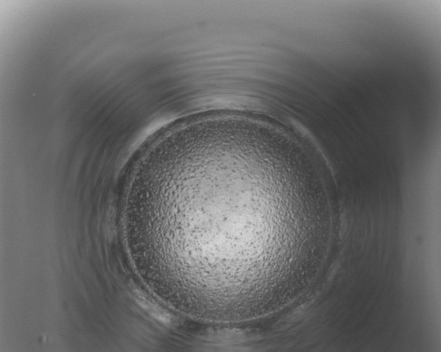 X0000077371019200610271914