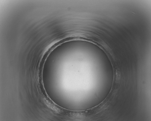 X0000077371020200610271914