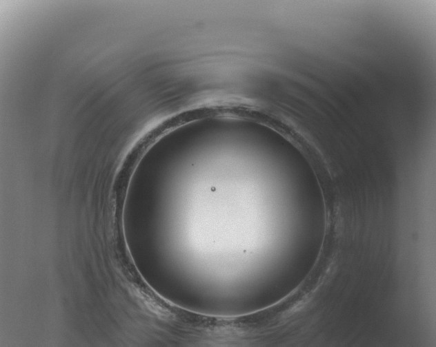 X0000077371021200610271914