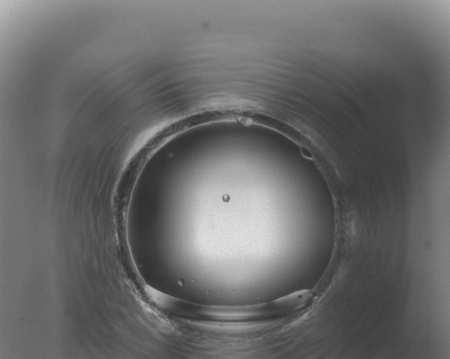 X0000077371022200610271914