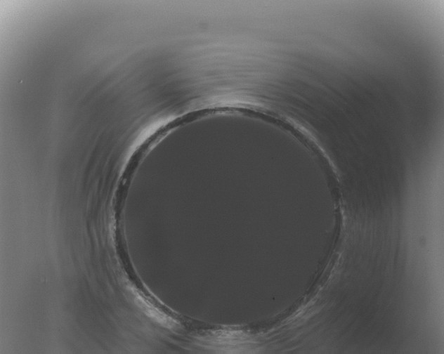 X0000077371024200610271914