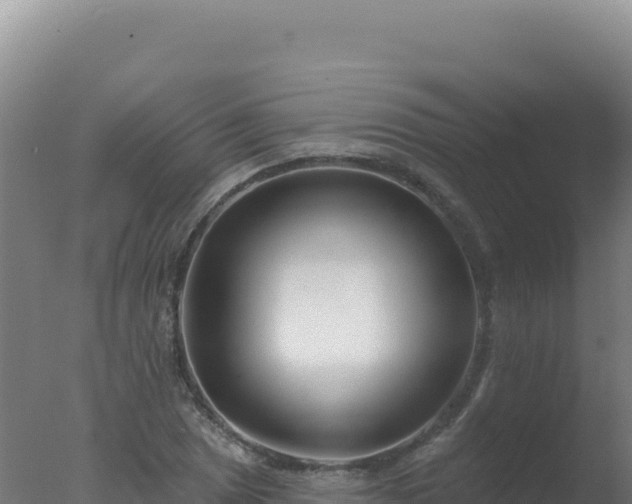 X0000077371025200610271914