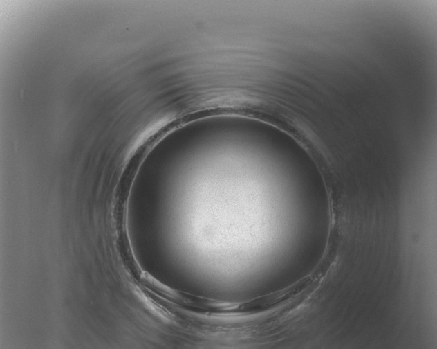 X0000077371026200610271914