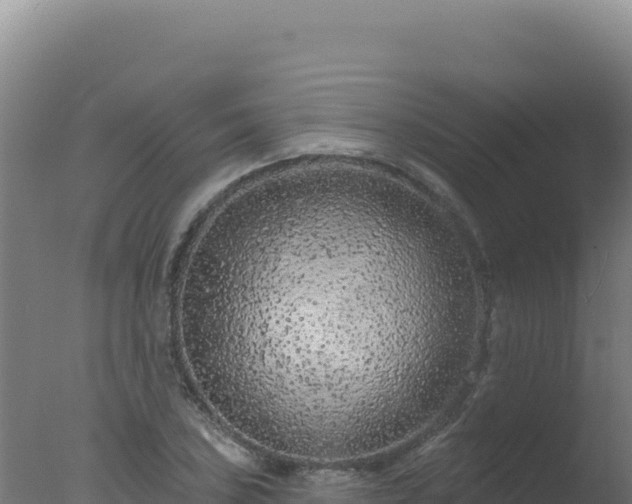 X0000077371027200610271914