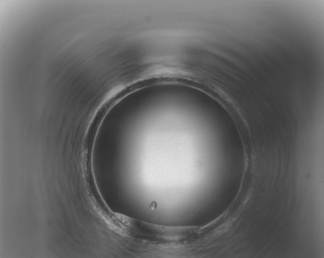 X0000077371029200610271914