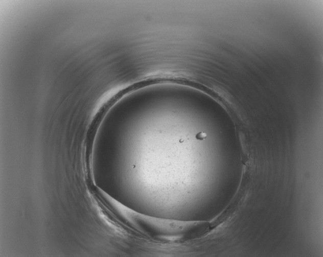 X0000077371030200610271915