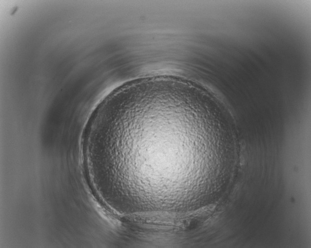 X0000077371031200610271915