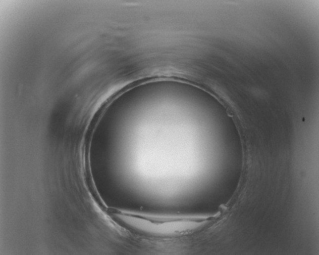 X0000077371032200610271915