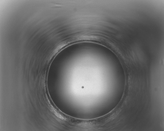 X0000077371033200610271915