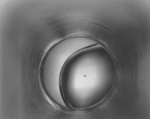 X0000077371034200610271915