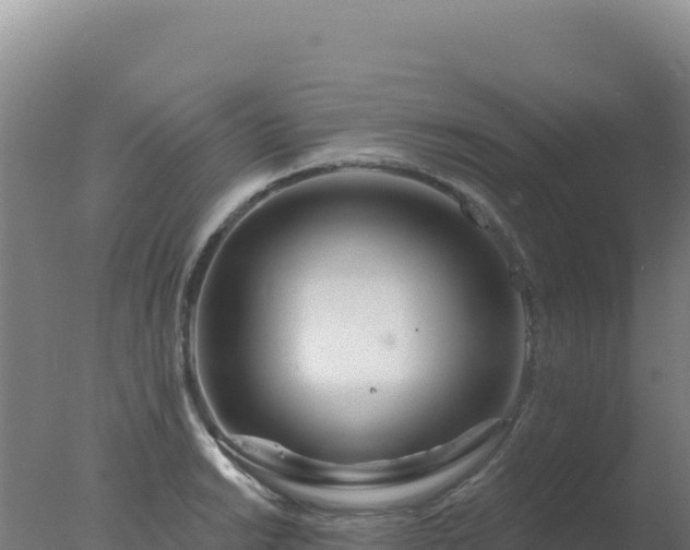 X0000077371038200610271915