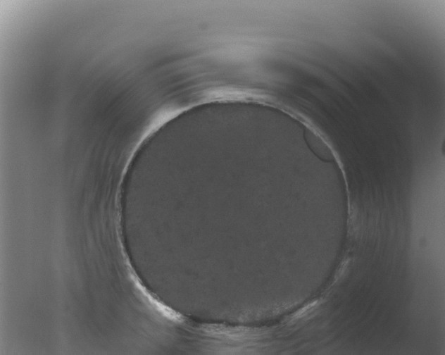 X0000077371045200610271915