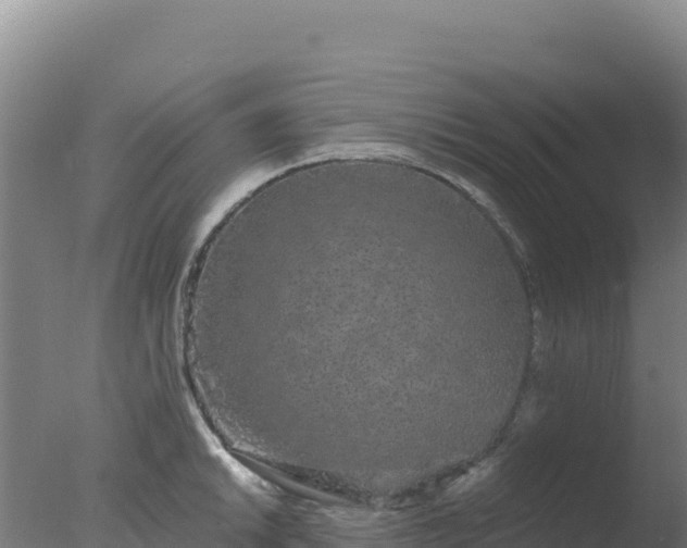 X0000077371046200610271915