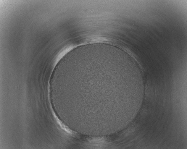 X0000077371047200610271915