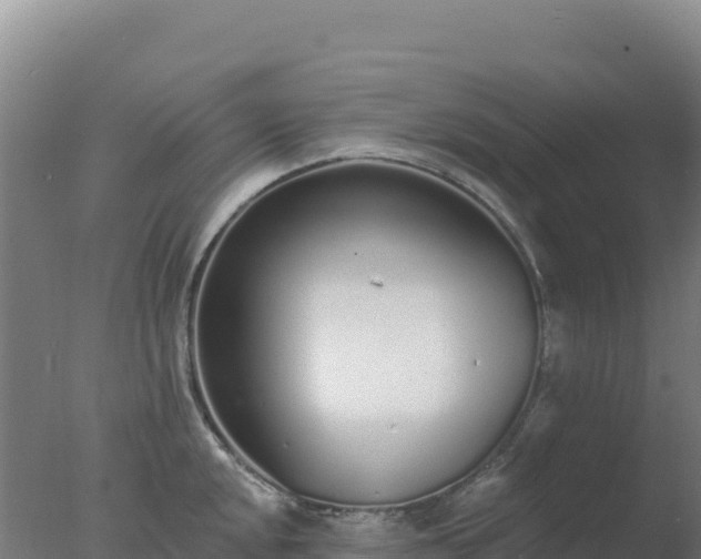 X0000077371048200610271915