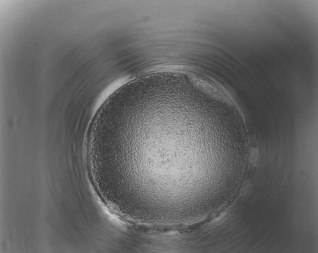 X0000077371050200610271915