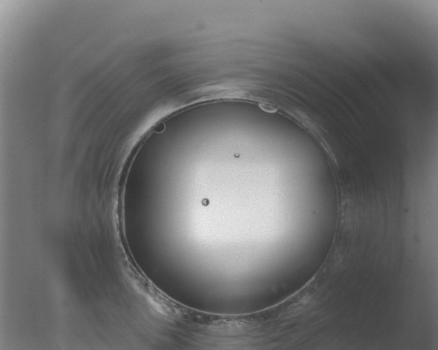 X0000077371051200610271915