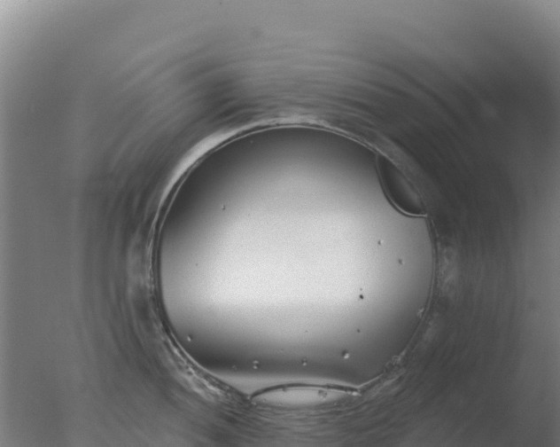 X0000077371052200610271915