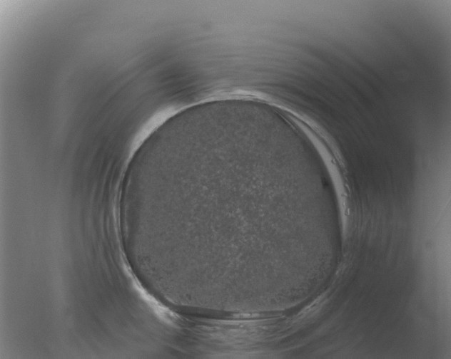 X0000077371054200610271915