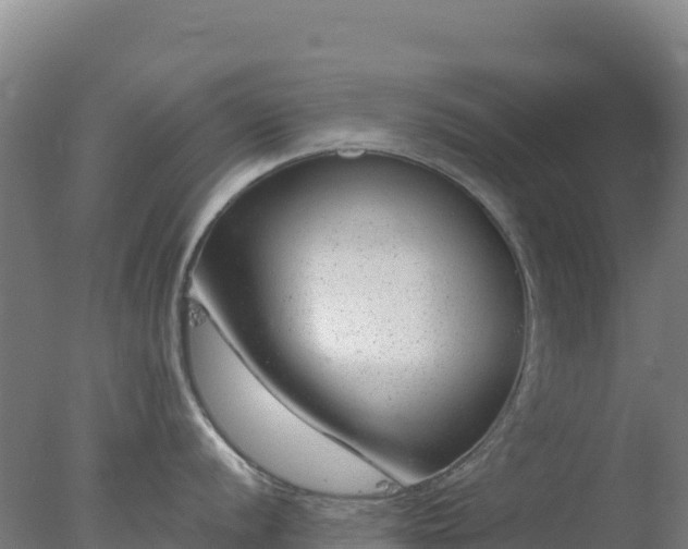 X0000077371056200610271915