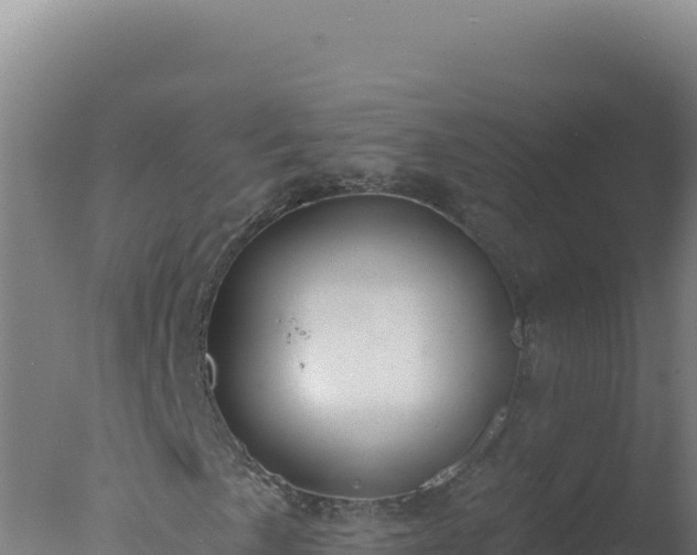 X0000077371057200610271914