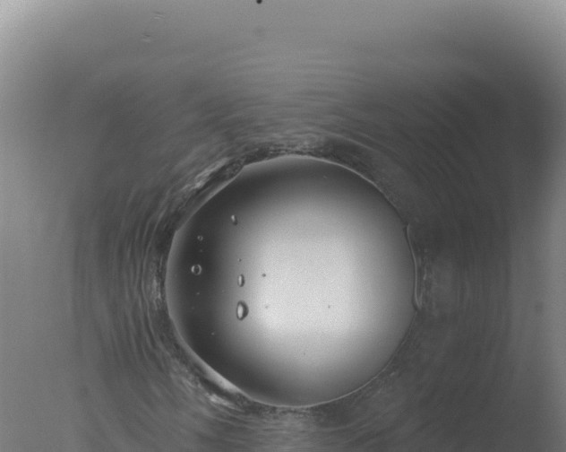 X0000077371058200610271914