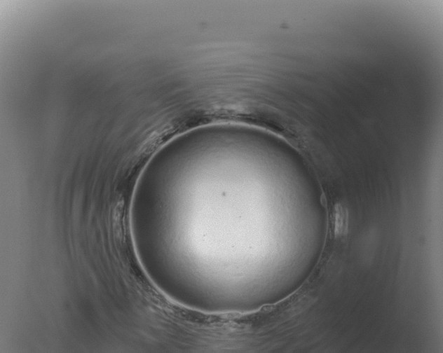 X0000077371059200610271914