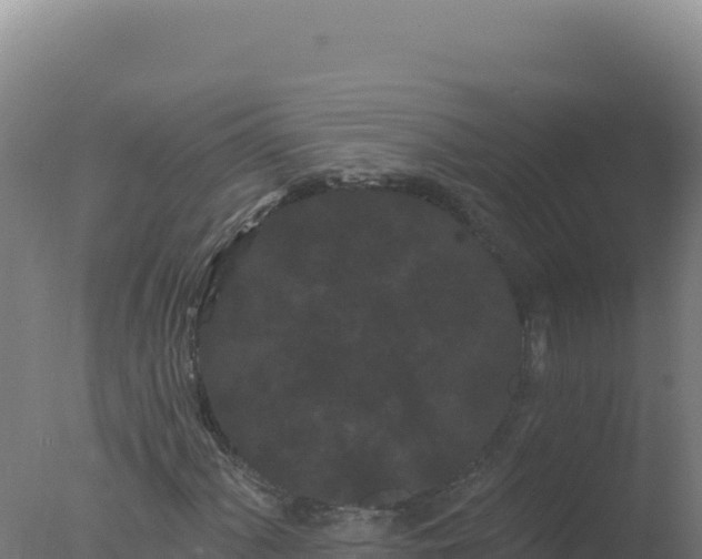 X0000077371060200610271914