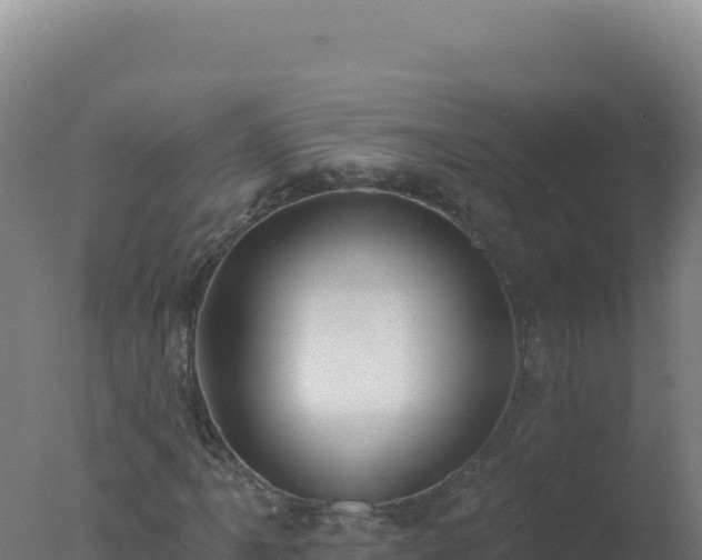 X0000077371061200610271914