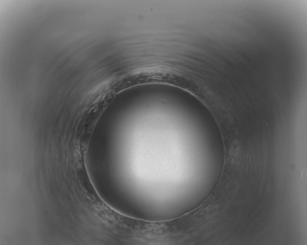 X0000077371062200610271914