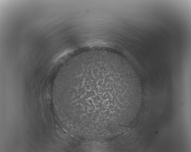 X0000077371063200610271914