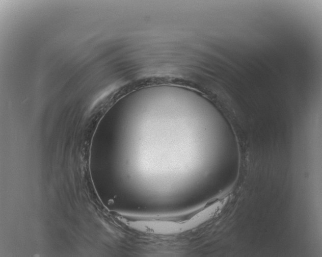 X0000077371064200610271914