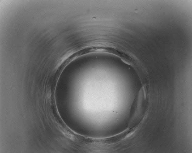 X0000077371065200610271914